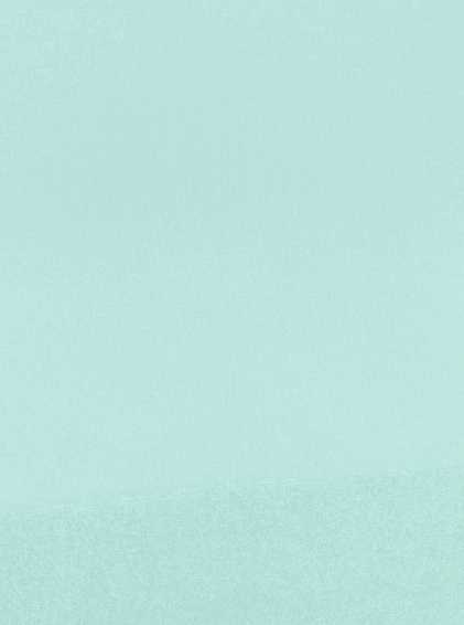картинка Футер 3 нитка с начесом /рулон/ ментоловый светлый от магазина Декна