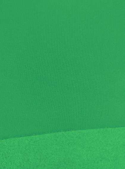 картинка Футер 3 нитка с начесом /рулон/ зеленый от магазина Декна